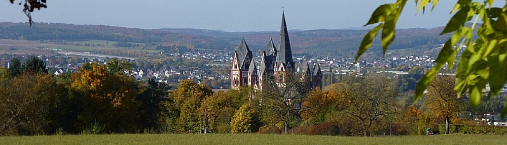 Rheingauer Weintage in Limburg an der Lahn!