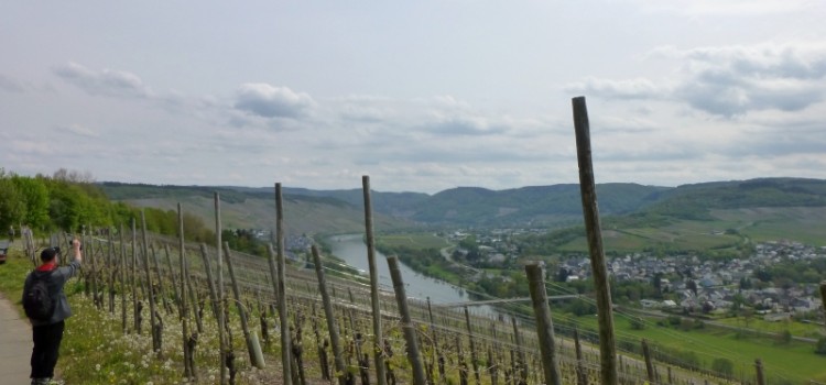 Lahntastisch goes Mosel – #24hMoselsteig Lahntastisch goes Mosel – #24hMoselsteig