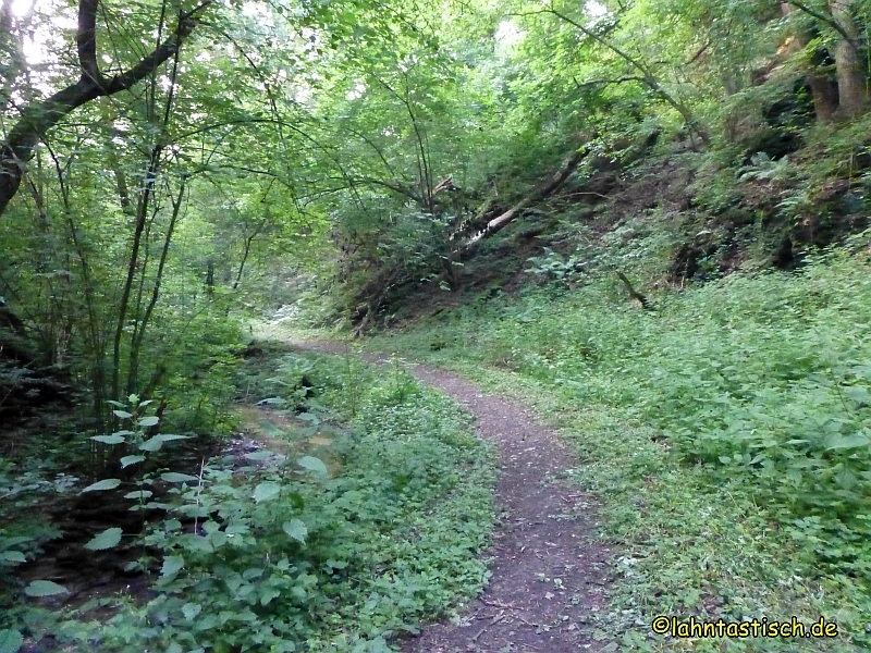 Steilhänge 018