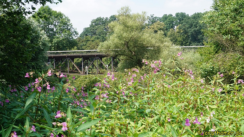 Lahnwanderweg Fachingen