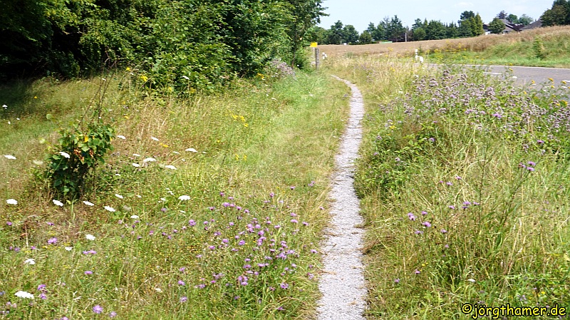 Lahnwanderweg bei Diez
