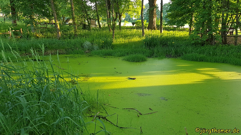 Lahntopf - Lahnquelle