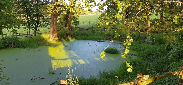 Endlich besucht – die Lahnquelle! Lahnquelle, Lahntopf, Lahnhof
