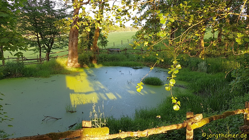 Lahnquelle, Lahntopf, Lahnhof