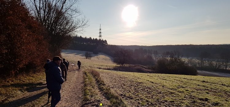 IVV-Wandertag Limburg - Raureif auf den Feldern