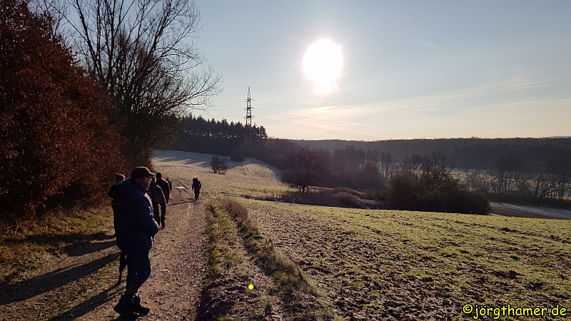 IVV-Wandertag Limburg - Raureif auf den Feldern