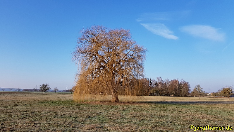 IVV Wandertag bei Linter