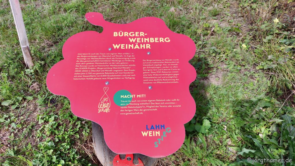 Bürgerweinberg Weinähr