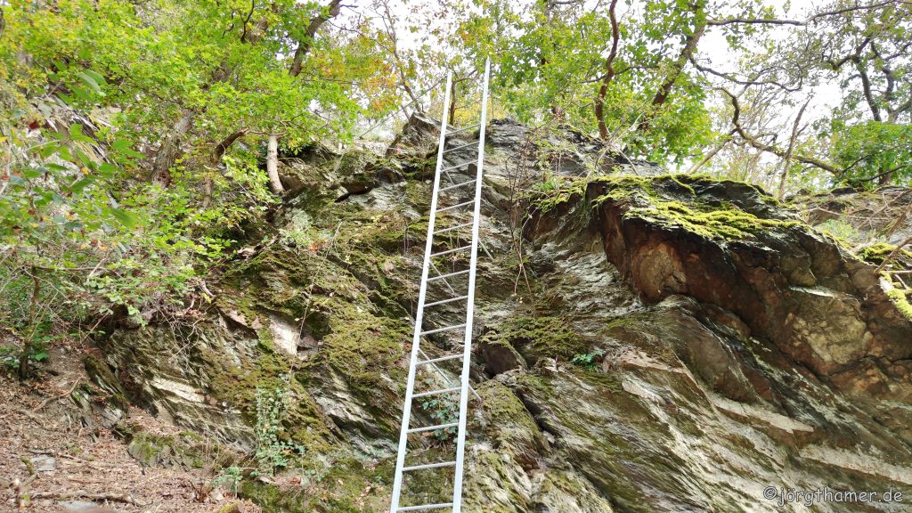 Leiter am LahnWeinStieg