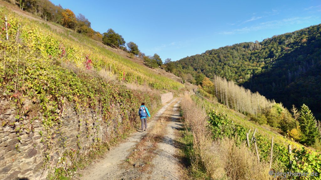 LahnWeinStieg Obernhof