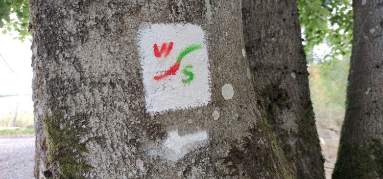 Waldaubacher Sagenweg – 120 Wanderer zur Eröffnung Waldaubacher Sagenweg – 120 Wanderer zur Eröffnung