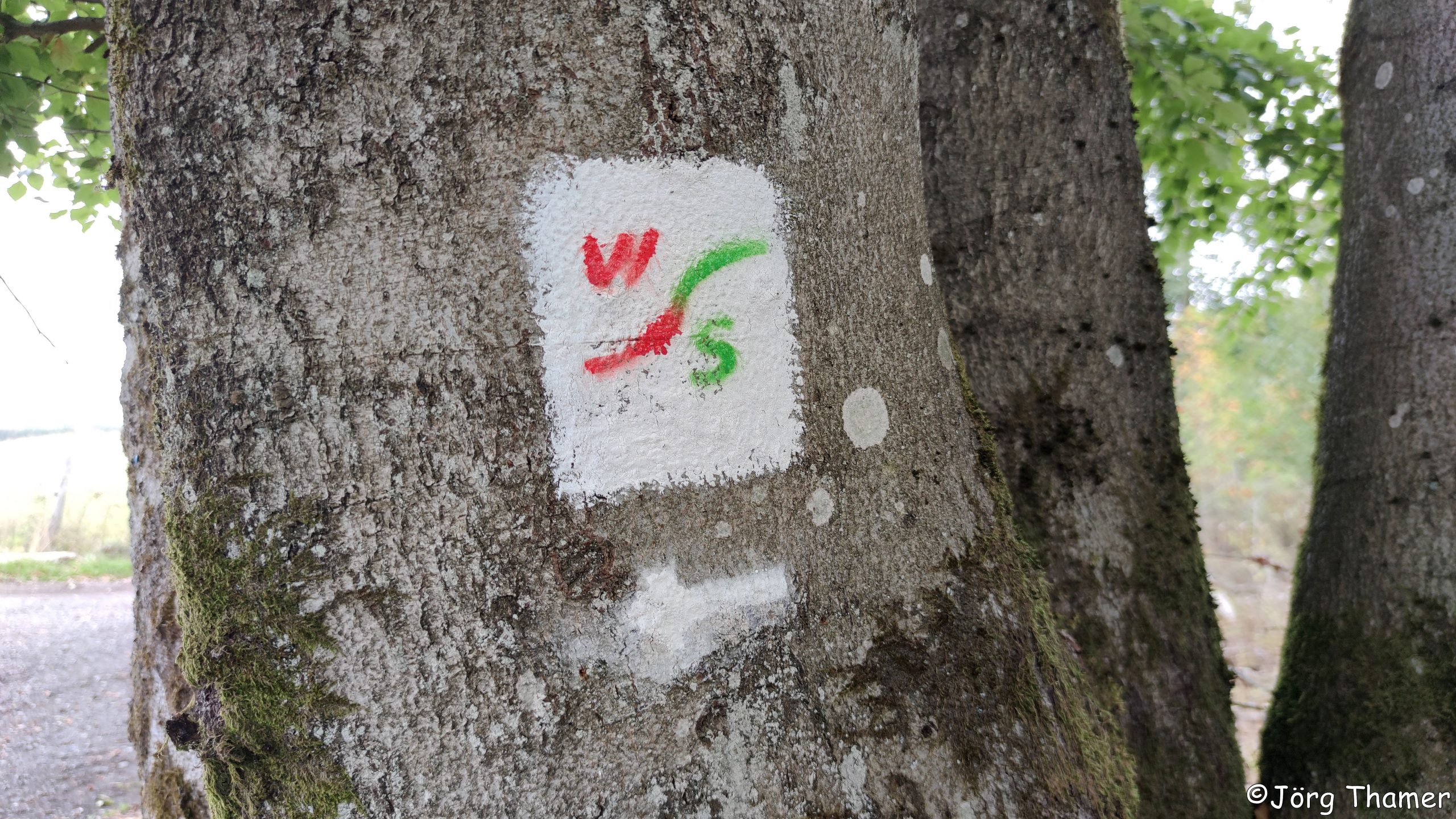 Waldaubacher Sagenweg – 120 Wanderer zur Eröffnung