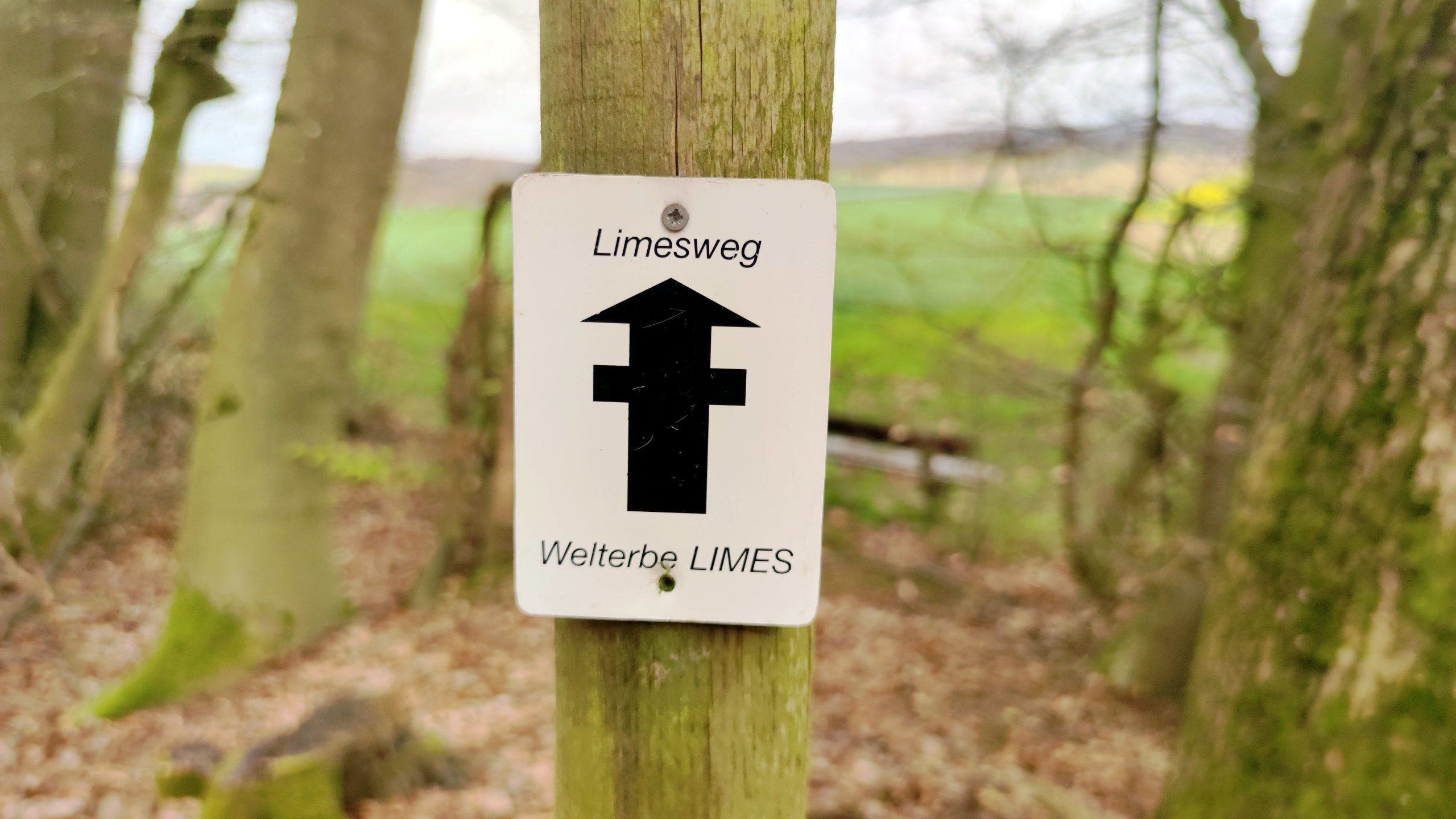 Limeskastell Pohl – Reise zu den Römern