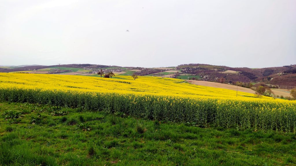 Landschaft Naturpark Nassau